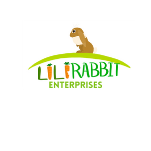 LiLisWorld logo
