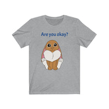 Load image into Gallery viewer, LiLi Rabbit "Are you okay?" Adult Unisex Jersey Short Sleeve Tee