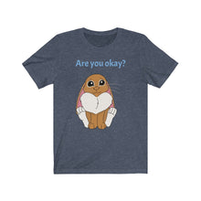 Load image into Gallery viewer, LiLi Rabbit "Are you okay?" Adult Unisex Jersey Short Sleeve Tee