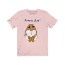 Load image into Gallery viewer, LiLi Rabbit "Are you okay?" Adult Unisex Jersey Short Sleeve Tee