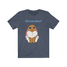 Load image into Gallery viewer, LiLi Rabbit &quot;Are you okay?&quot; Adult Unisex Jersey Short Sleeve Tee
